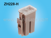 ZH228 fuse